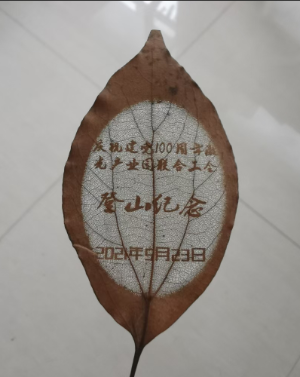 工會(huì)登山紀(jì)念書簽